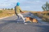 Ist Ihr Hund wirklich stur? Deshalb gehorcht er Ihnen wirklich nicht Aufmacher